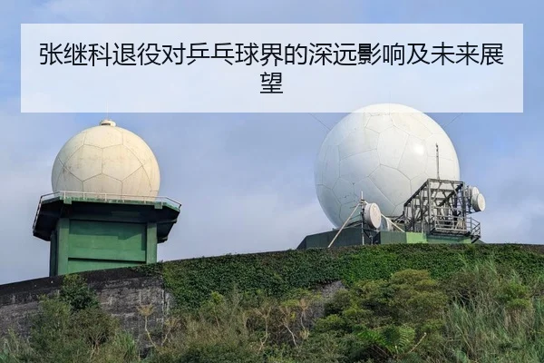 张继科退役对乒乓球界的深远影响及未来展望